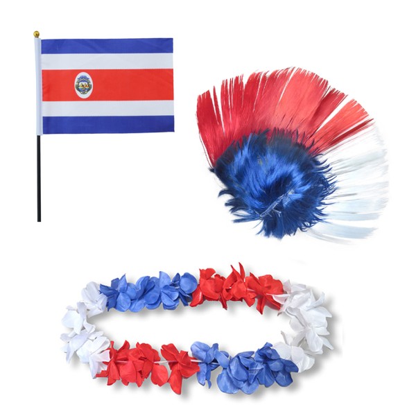 Fanset &quot;Costa Rica&quot; Blumenkette Fahne Flagge Perücke Irokese