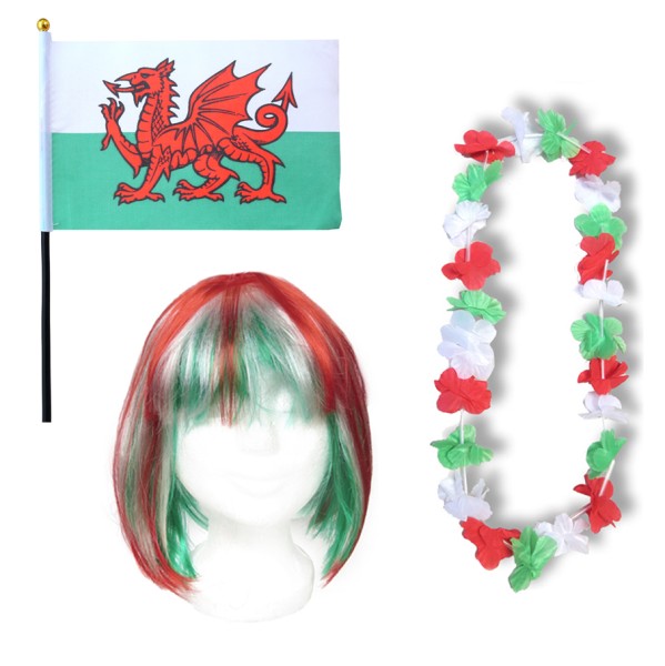 Fanset &quot;Wales&quot; Blumenkette Fahne Flagge Perücke Bob