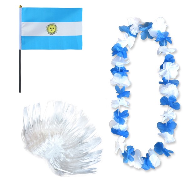Fanset &quot;Argentinien&quot; Argentina Blumenkette Fahne Flagge Perücke Irokese