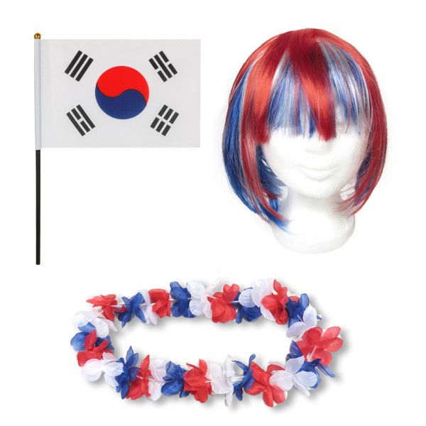 Fanset &quot;Südkorea&quot; South Korea Blumenkette Fahne Flagge Perücke Bob
