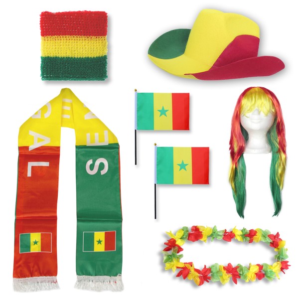 Fan-Paket &quot;Senegal&quot; WM EM Fußball Schal Hawaiikette Hut Schweissband Fahne Perücke