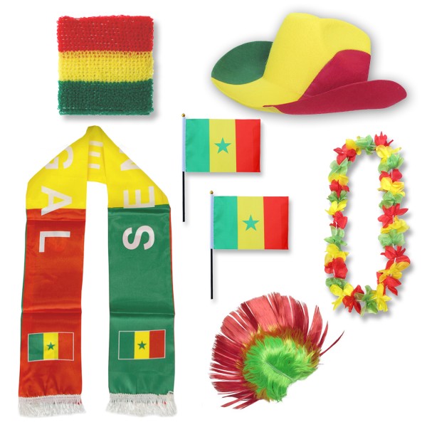 Fan-Paket &quot;Senegal&quot; WM EM Fußball Schal Hawaiikette Hut Schweissband Fahne Iro Perücke