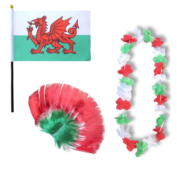 Fanset &quot;Wales&quot; Blumenkette Fahne Flagge Perücke Irokese