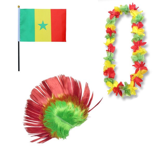Fanset &quot;Senegal&quot; Blumenkette Fahne Flagge Perücke Irokese